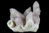 Cactus Quartz (Amethyst) Cluster - South Africa #80013-1